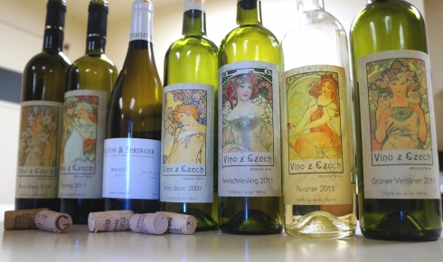 Czech wines:  beautiful, refreshing, and ideal for pairings